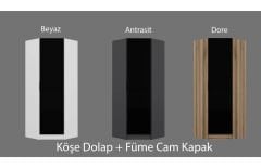 TESLA 1 Füme Cam Kapaklı Köşe Dolap