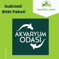 Akvaryum Odası İndirimli Full Bitki Paketi