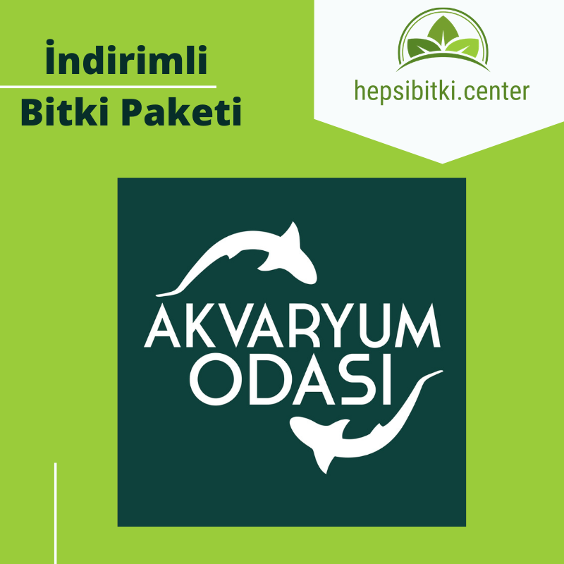 Akvaryum Odası İndirimli Full Bitki Paketi 3