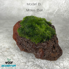 Moss Tutturulmuş Lav Kayası Akvaryum Dekoru 8-10 cm