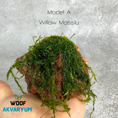 Moss Tutturulmuş Lav Kayası Akvaryum Dekoru 8-10 cm