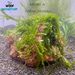 Moss Tutturulmuş Lav Kayası Akvaryum Dekoru 8-10 cm