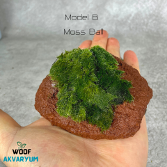 Moss Tutturulmuş Lav Kayası Akvaryum Dekoru 8-10 cm