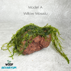 Moss Tutturulmuş Lav Kayası Akvaryum Dekoru 8-10 cm