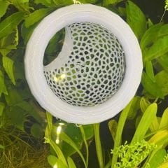 Beta Balığı Saklanma Alanı,Yüzen Mağara 8 Cm