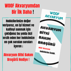 Düz Uçlu 23 Cm Profesyonel Plastik,Bitki Dikim Cımbızı