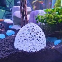 Yavru Karides Sığınağı ve Yemleme Mağarası 7 cm