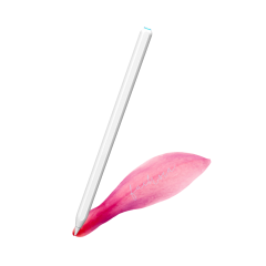 Apple iPad Kablosuz Şarj Olabilen Eğime Duyarlı Avuç İçi Reddetme Özellikli (2. Nesil) Kalem