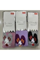 Ekinoks Kız Çocuk 3'lü Desenli Külotlu Çorap Karışık