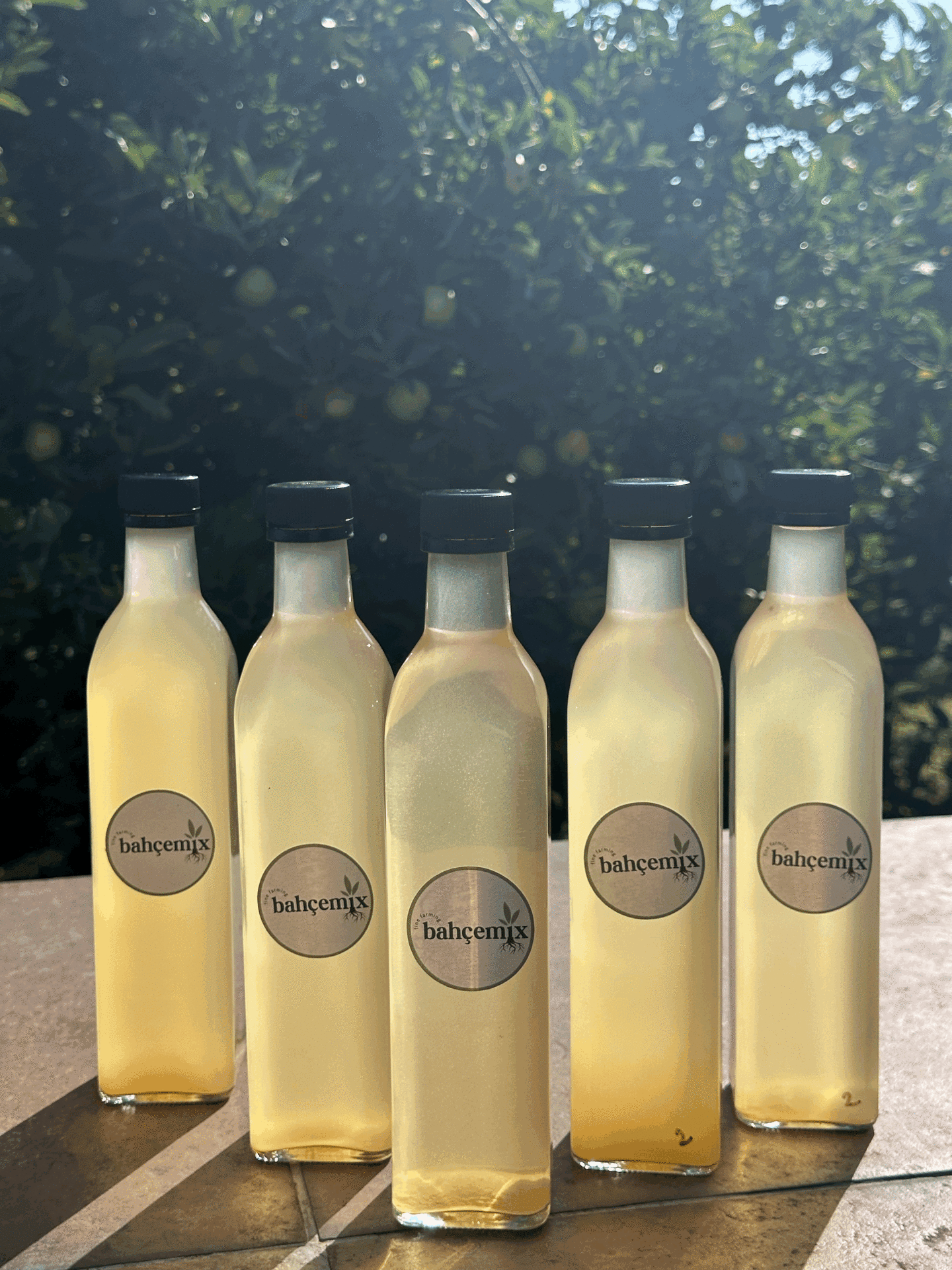 Elma Sirkesi 500 ml (Doğal fermantasyon)