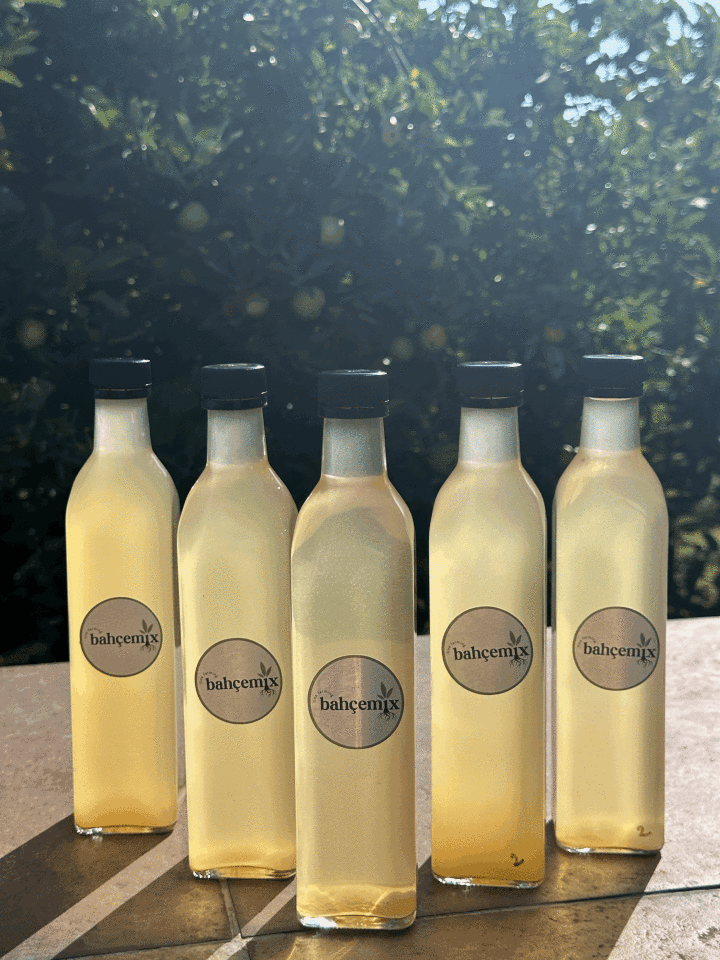 Elma Sirkesi 500 ml (Doğal fermantasyon)