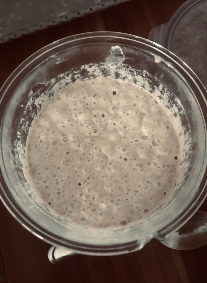 Ekşi Maya 100gr.