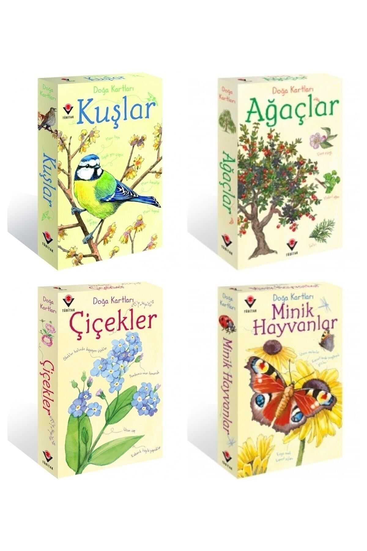 Tübitak Popüler Bilim Doğa Kartları Ağaçlar - Kuşlar - Çiçekler - Minik Hayvanlar (4 KUTU SET)