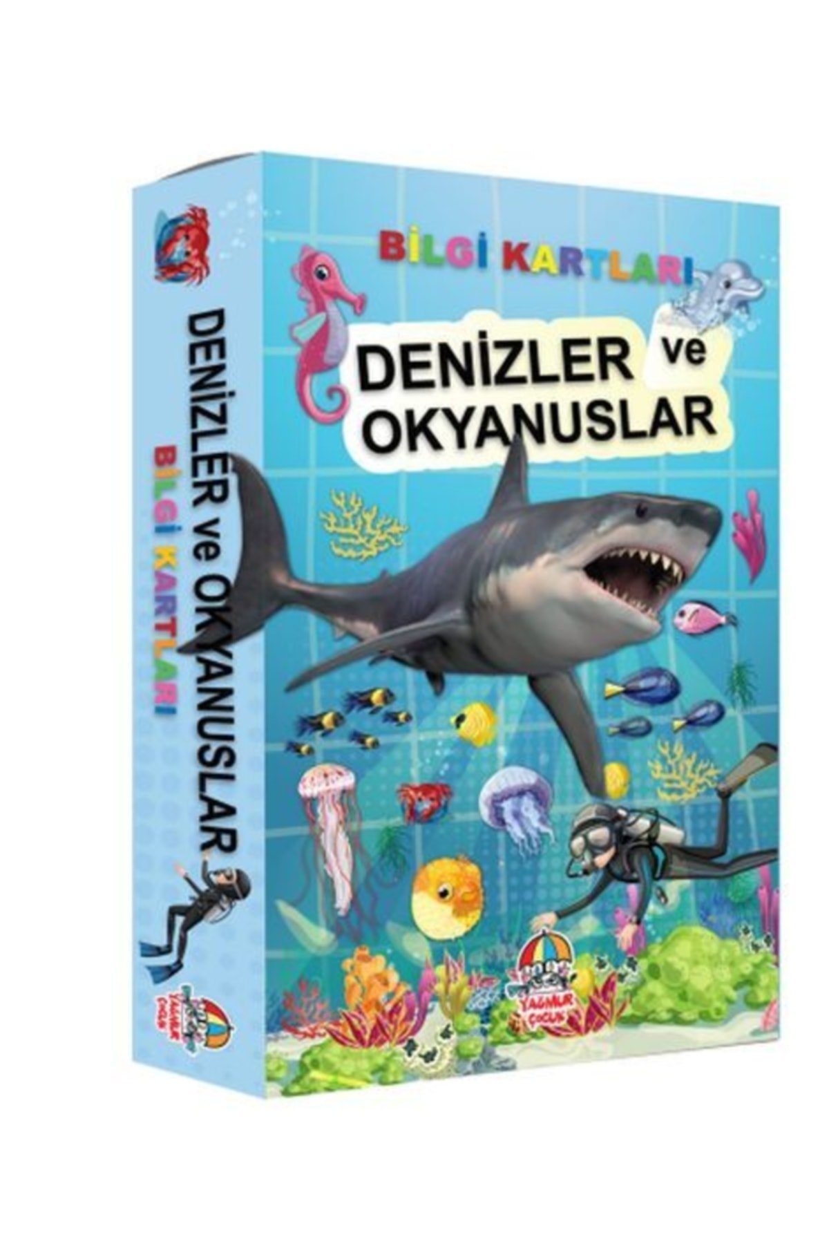 Bilgi Kartları - Denizler Ve Okyanuslar