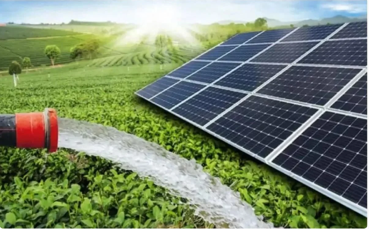 Tarımsal Sulama Sistemlerinde Güneş Paneli Kullanımının Avantajları