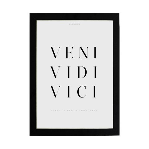 Veni Vidi Vici Poster Tablo