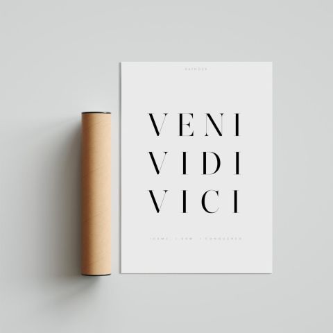 Veni Vidi Vici Poster Tablo