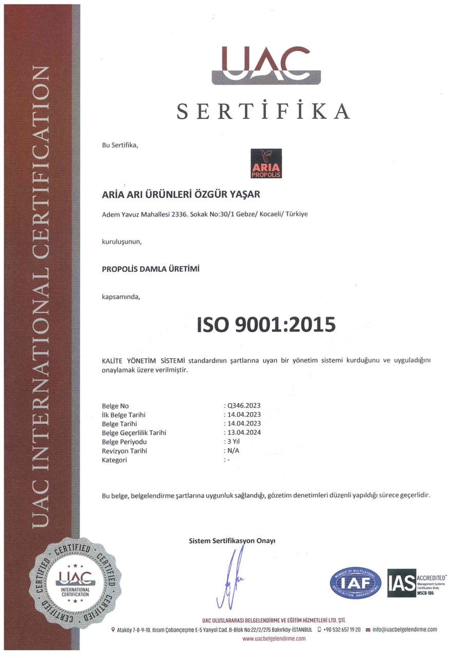 ISO 9001 Kalite Standartı Sertifikası