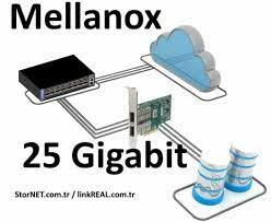 25 Gigabit Ethernet: Ağ Hızında Yeni Özellikler