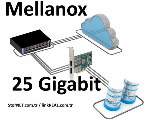 Mellanox 25 Gigabit Ethernet Kart