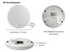 Peplink AP One (Enterprise)
