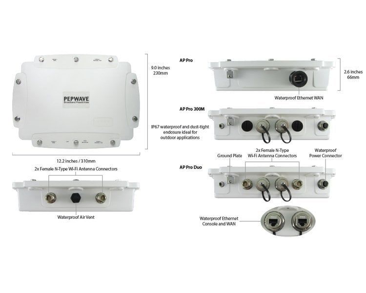 Peplink AP Pro Duo