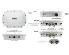 Peplink AP One Flex 300M