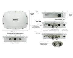 Peplink AP Pro 300M
