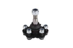 Kraftvoll ROTIL ON ALT DUCATO BOXER JUMPER 2.8 2.8HDI 2.8TDI 18Q 16 JANT 01.02. 01> KONI OLCUSU 24MM M18×1.5