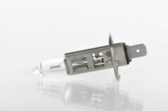 Bosch AMPUL PLUS 50 12 V H1 55 W P14.5S H1 P14.5S