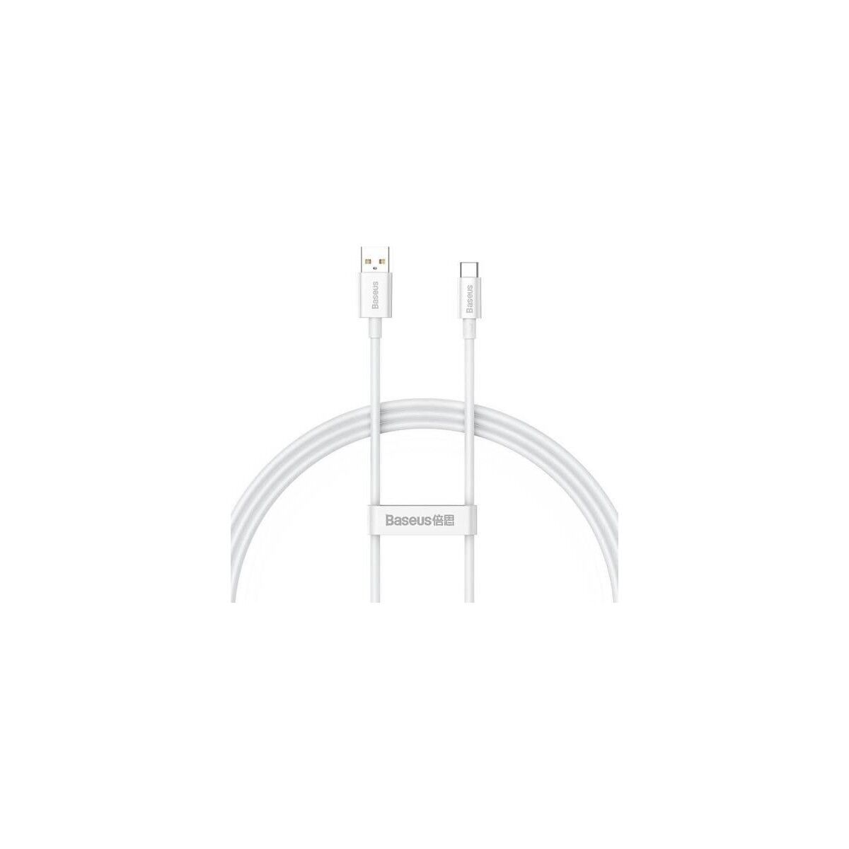 Baseus 1mt 6A 100W Mega Hızlı USB To Type C Şarj ve Data Kablosu, Akım ve Isı Korumalı Type C Kablo