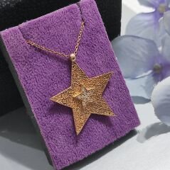 Yıldızlı Rose Gümüş Kolye