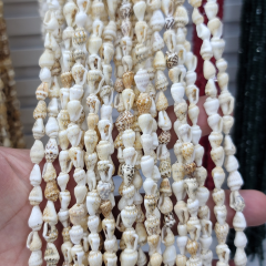 Dizili Deniz Kabuğu 150cm Dizide 110-135 adt