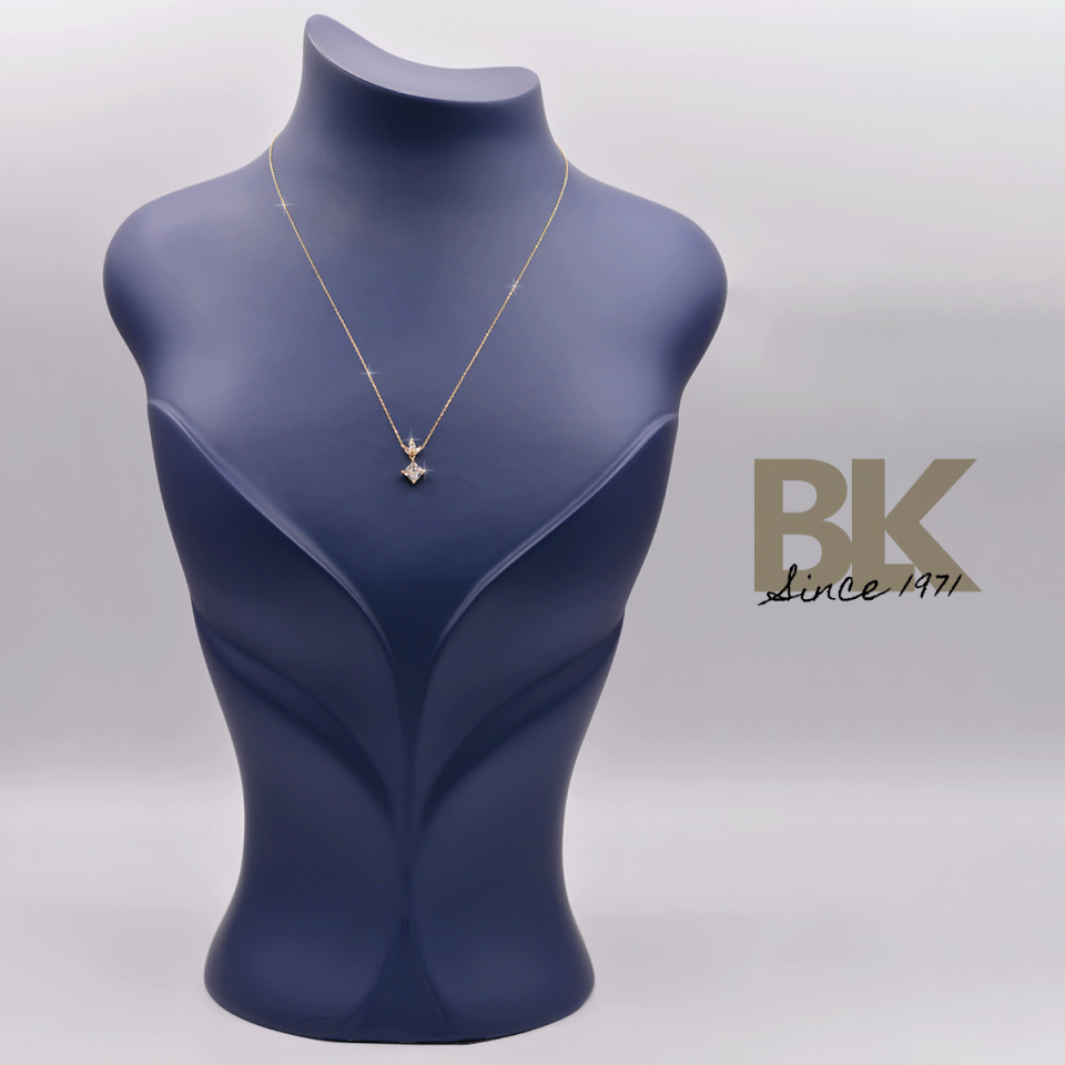 BKL1538