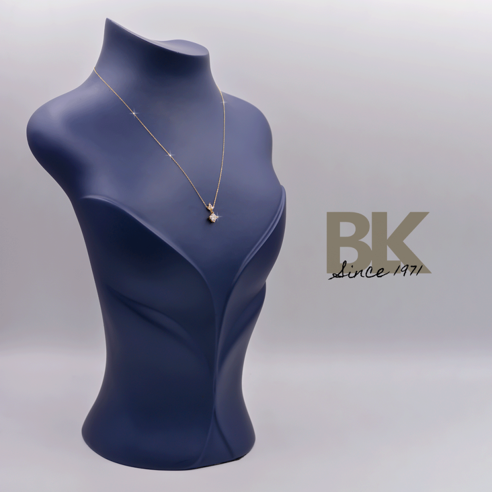 BKL1538