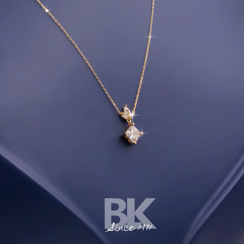 BKL1538