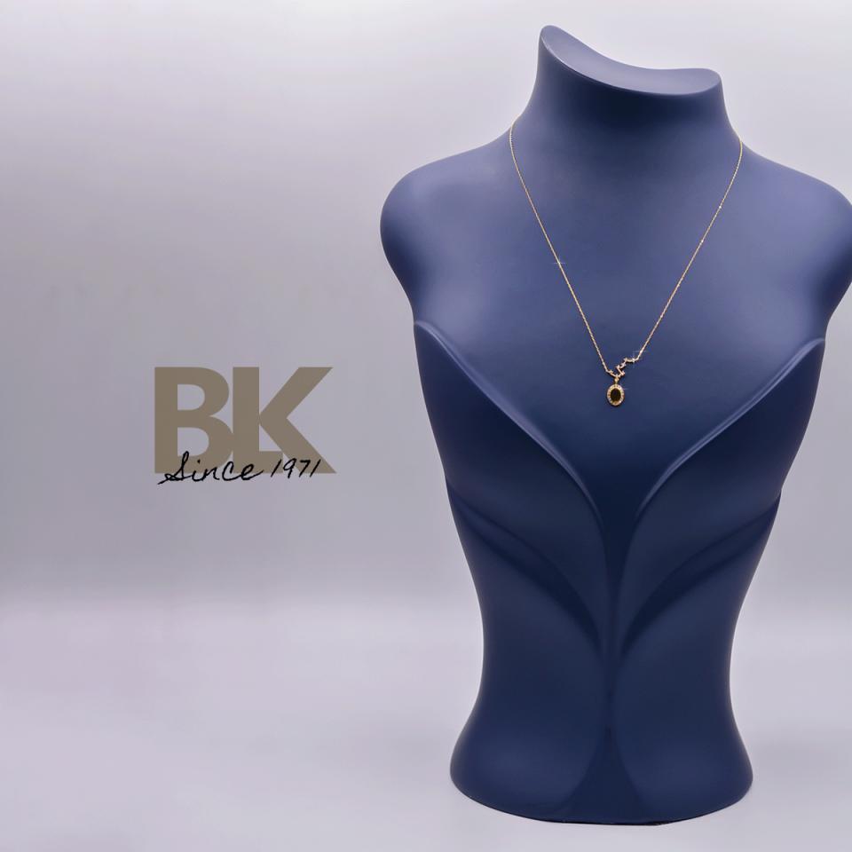 BKL1546