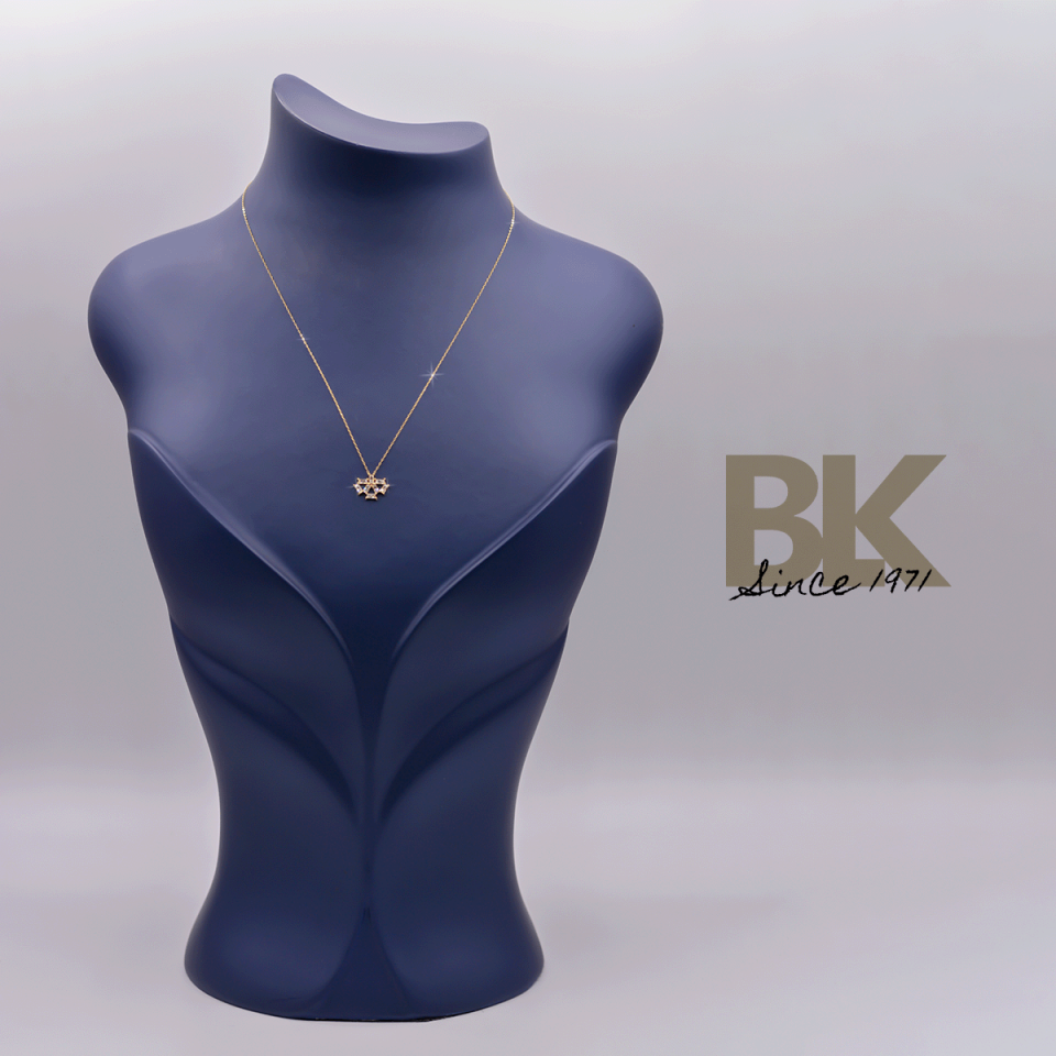 BKL1551