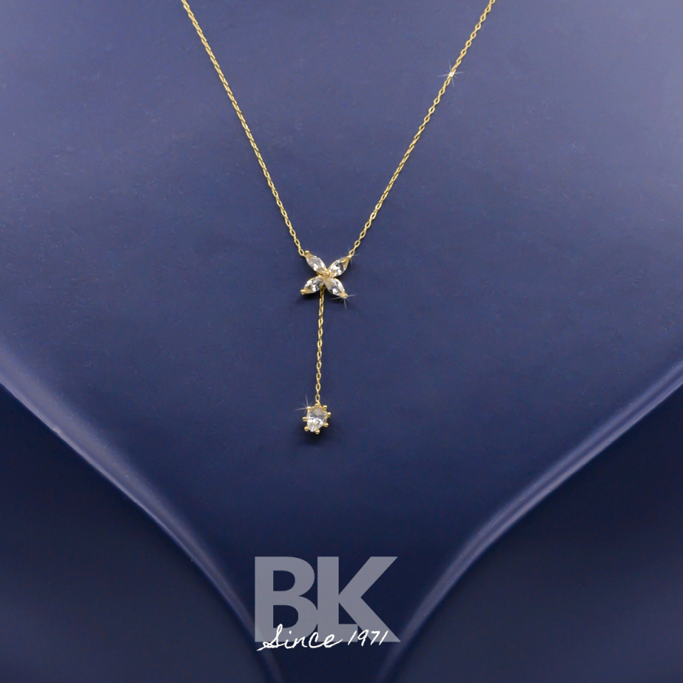 BKL1563