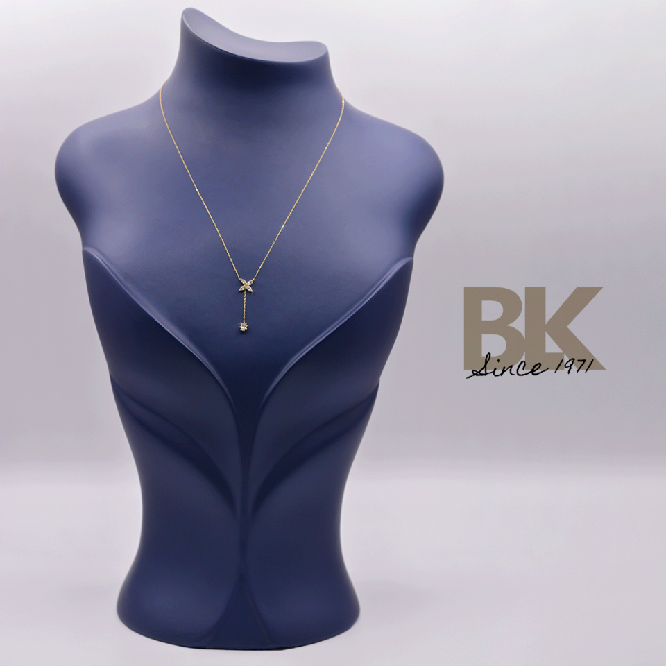BKL1563