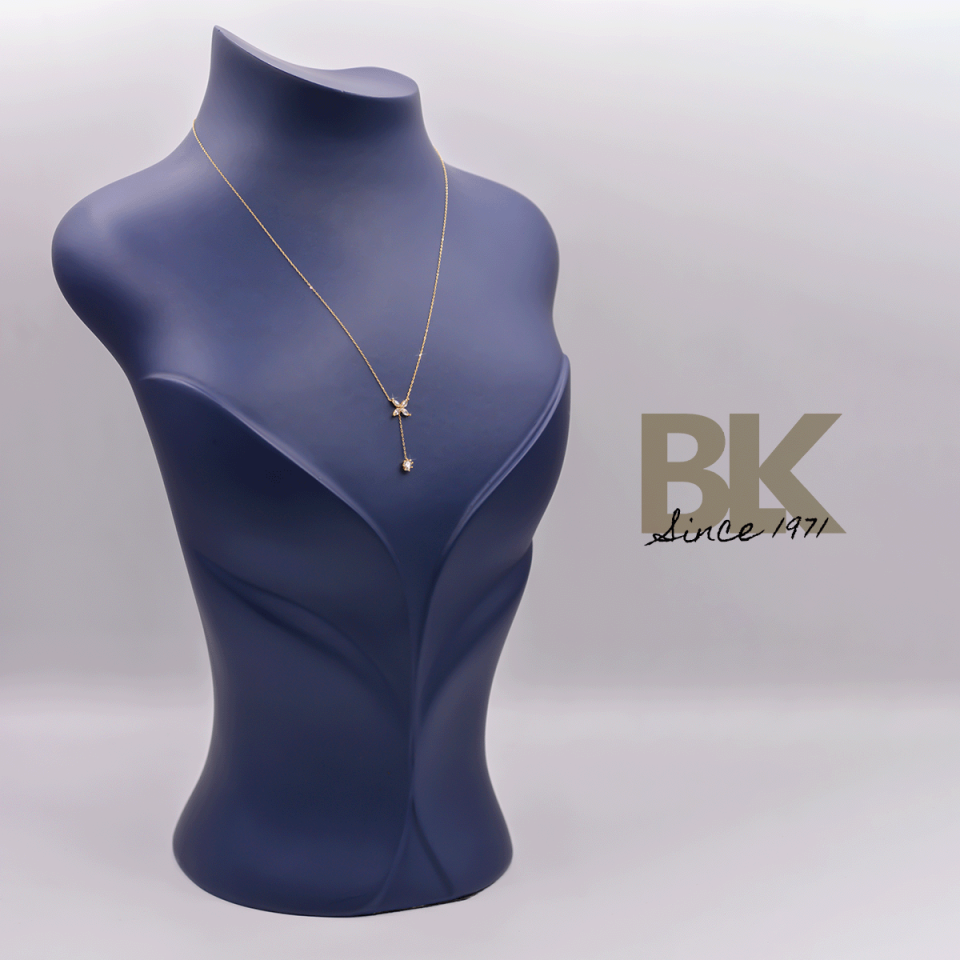 BKL1563