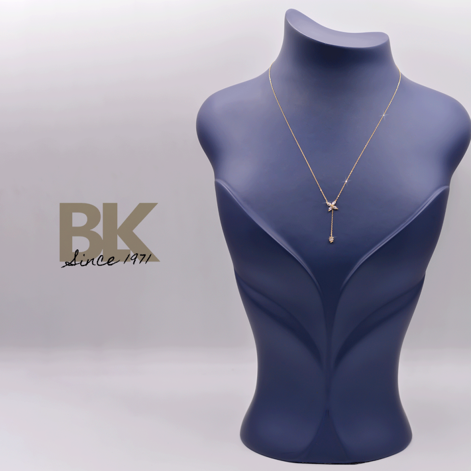 BKL1564