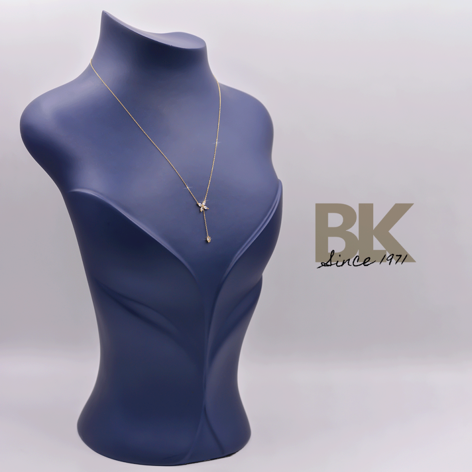 BKL1564