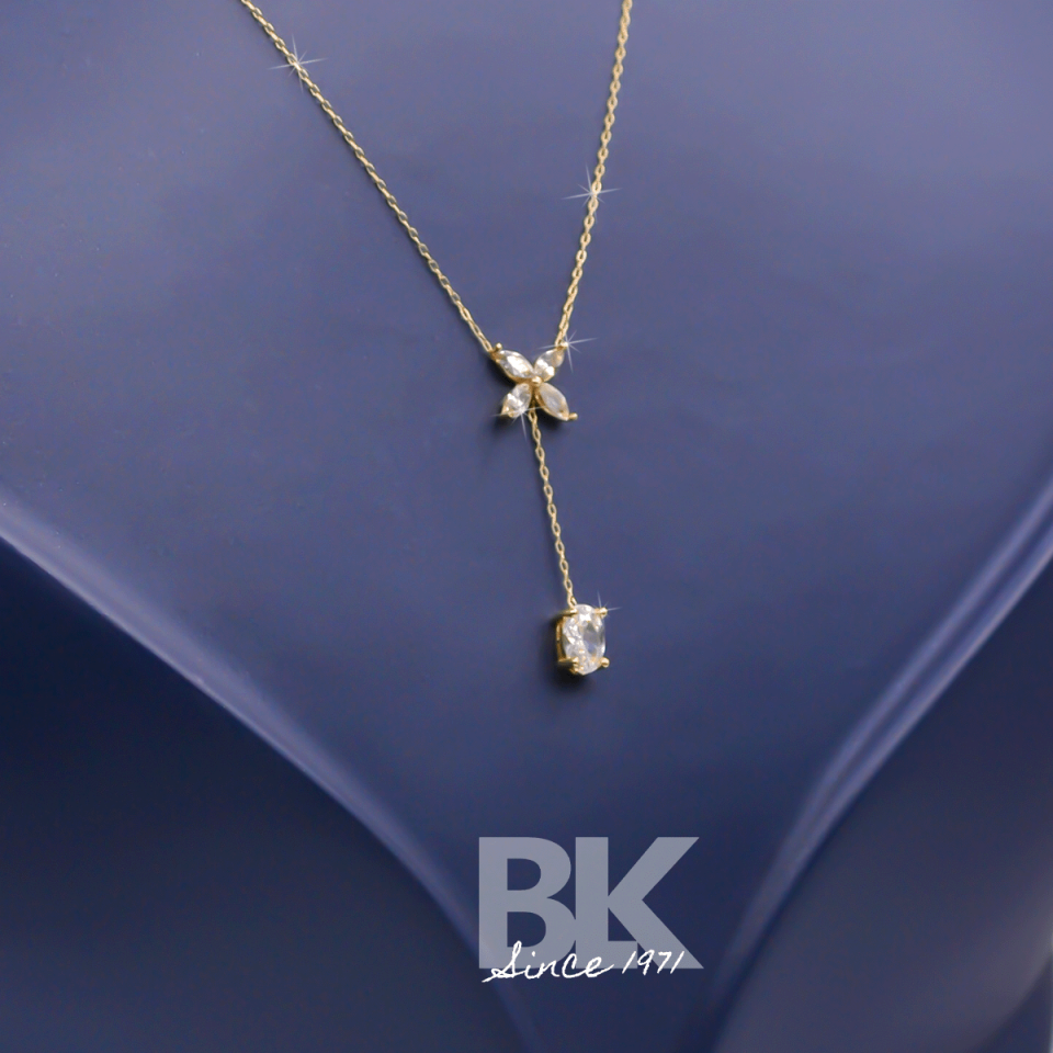 BKL1565