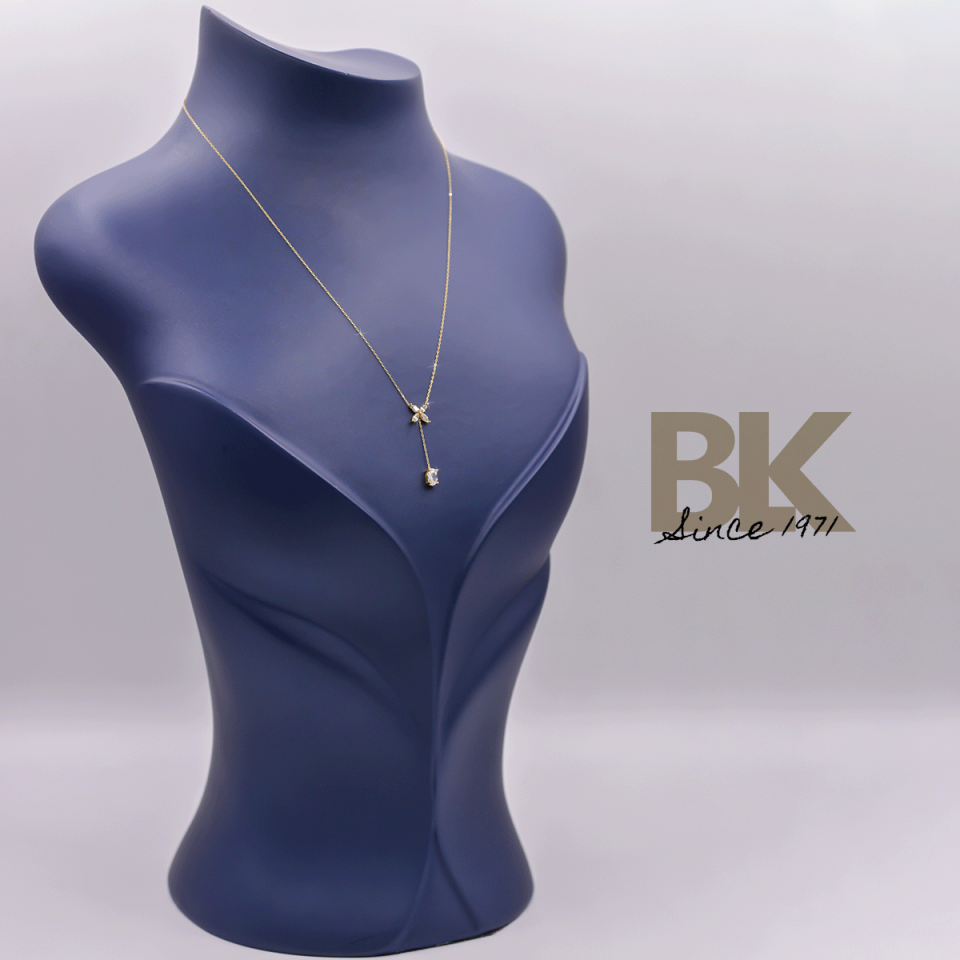 BKL1565