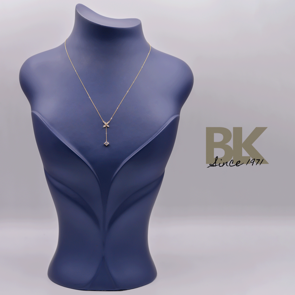 BKL1568