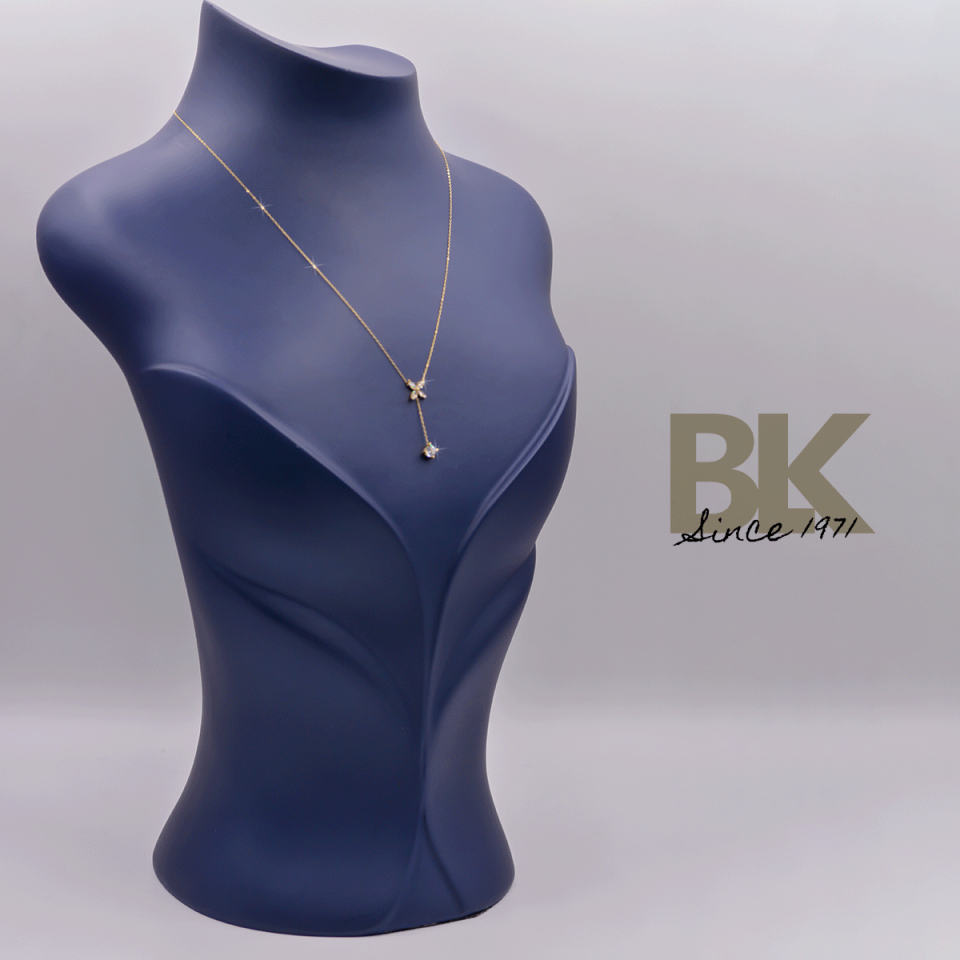 BKL1568