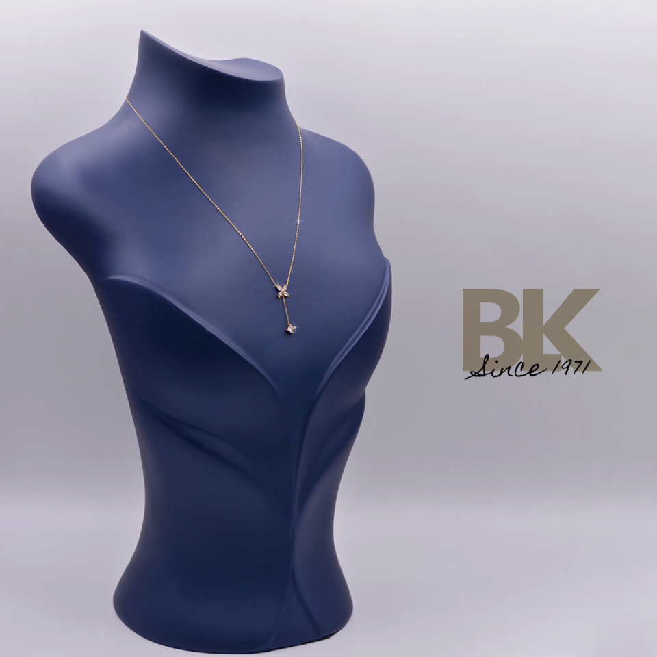 BKL1569