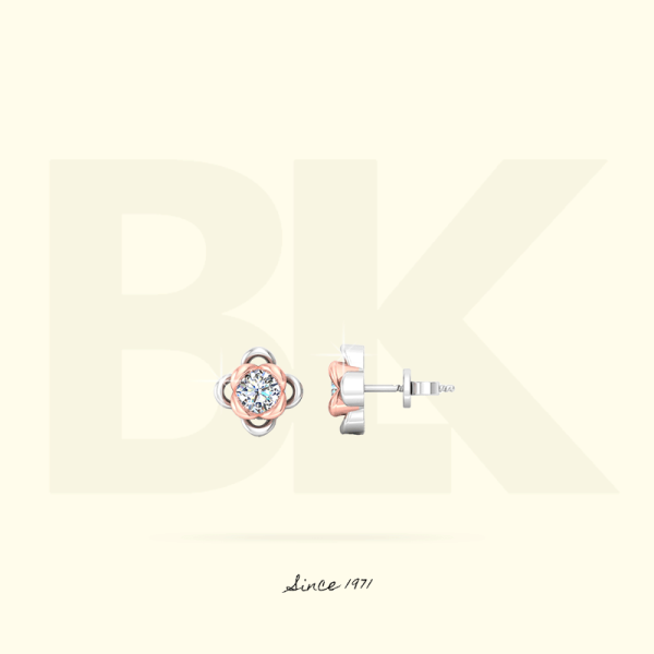 BKP1129