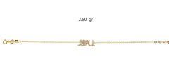 سوار الشبح 18